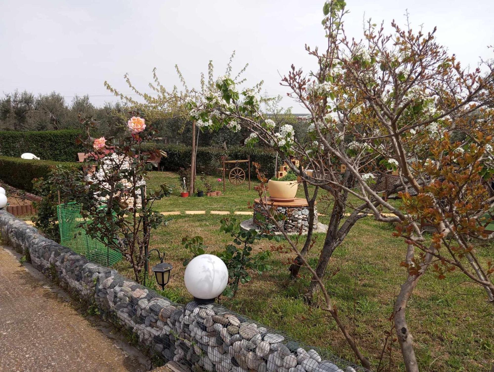 Dora'S Garden Villa Alexandrúpoli Kültér fotó