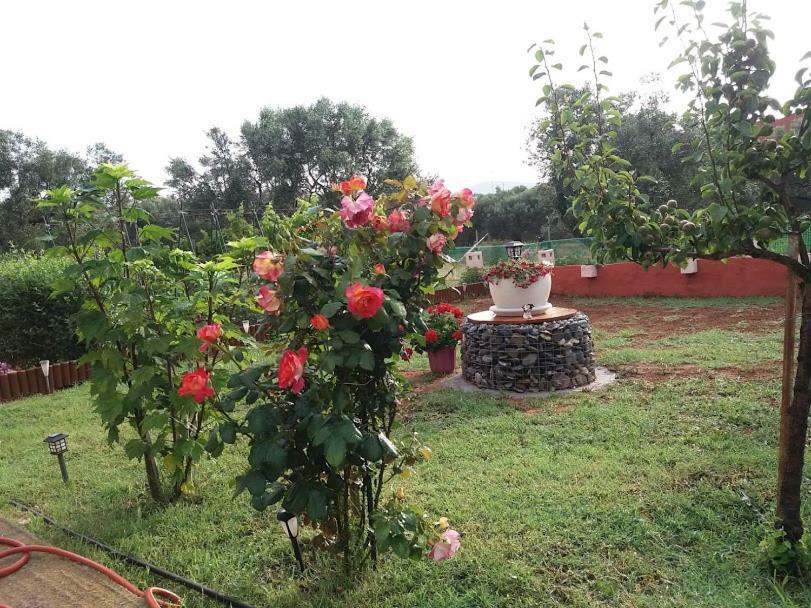 Dora'S Garden Villa Alexandrúpoli Kültér fotó