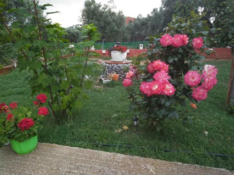 Dora'S Garden Villa Alexandrúpoli Kültér fotó